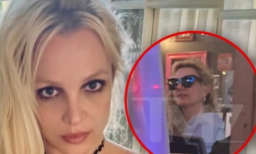 Britney Spears' 'Ruff' Dinner Turns Heads at L.A. Restaurant