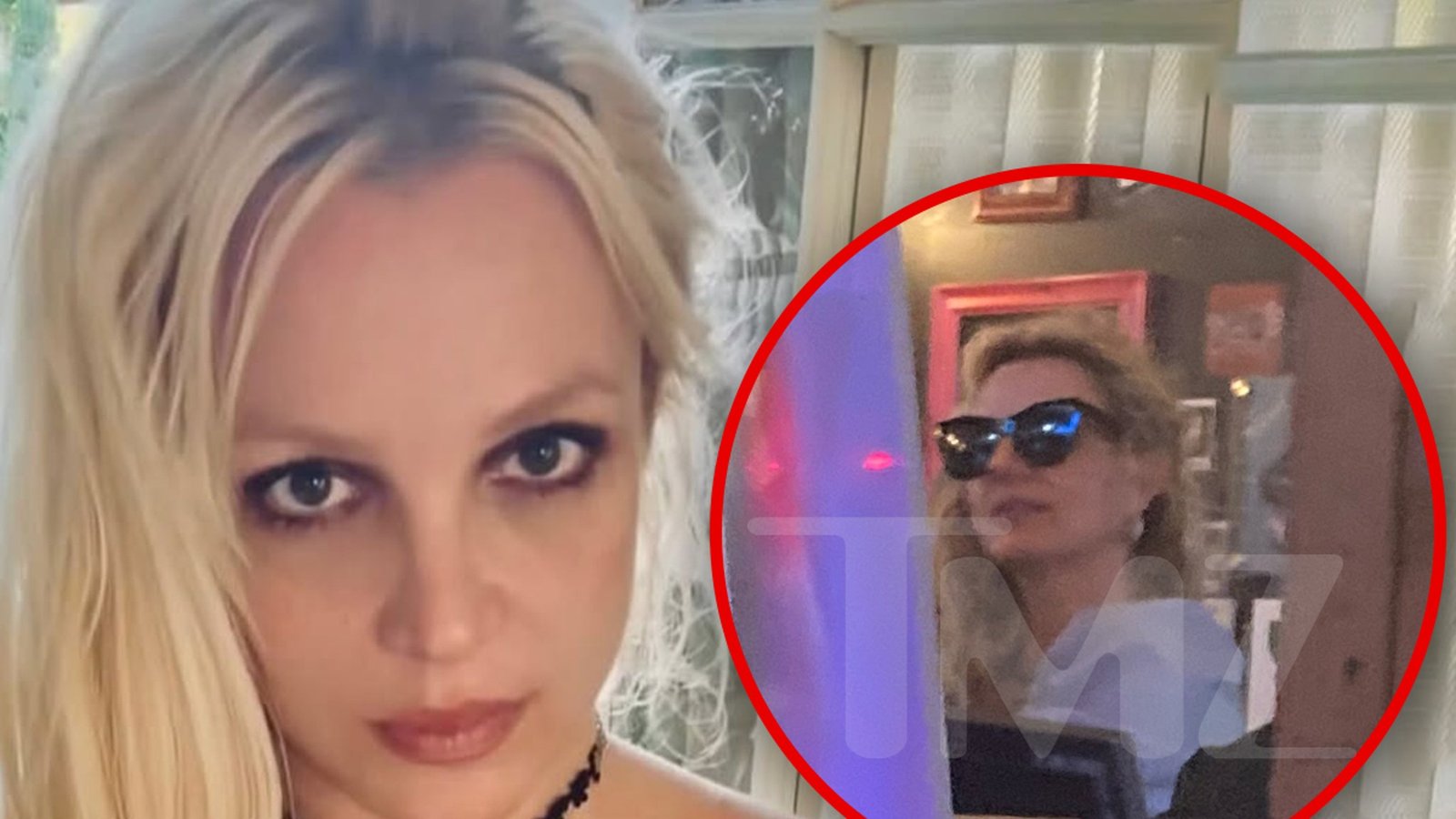 Britney Spears' 'Ruff' Dinner Turns Heads at L.A. Restaurant