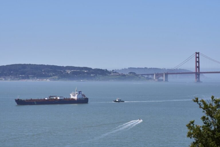 California races to protect whales as deaths spike