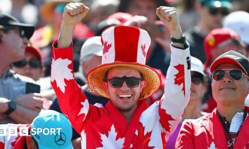 A fan in the grandstand waves his arms in the air while wearing a Canadian themed suit.