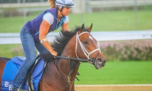 Commandment Gets Back to Work, Belmont Stakes Next