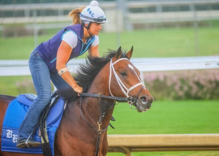 Commandment Gets Back to Work, Belmont Stakes Next