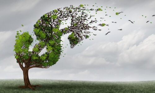 Concentration risk emerging among newer vintage loans, FHA borrowers.