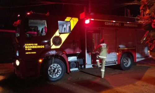 Corpo de Bombeiros salva cachorro preso em buraco no Bairro Morumbi 