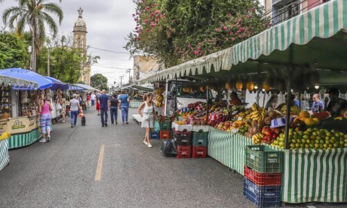 Curitiba oferece feiras livres e de artesanato neste domingo