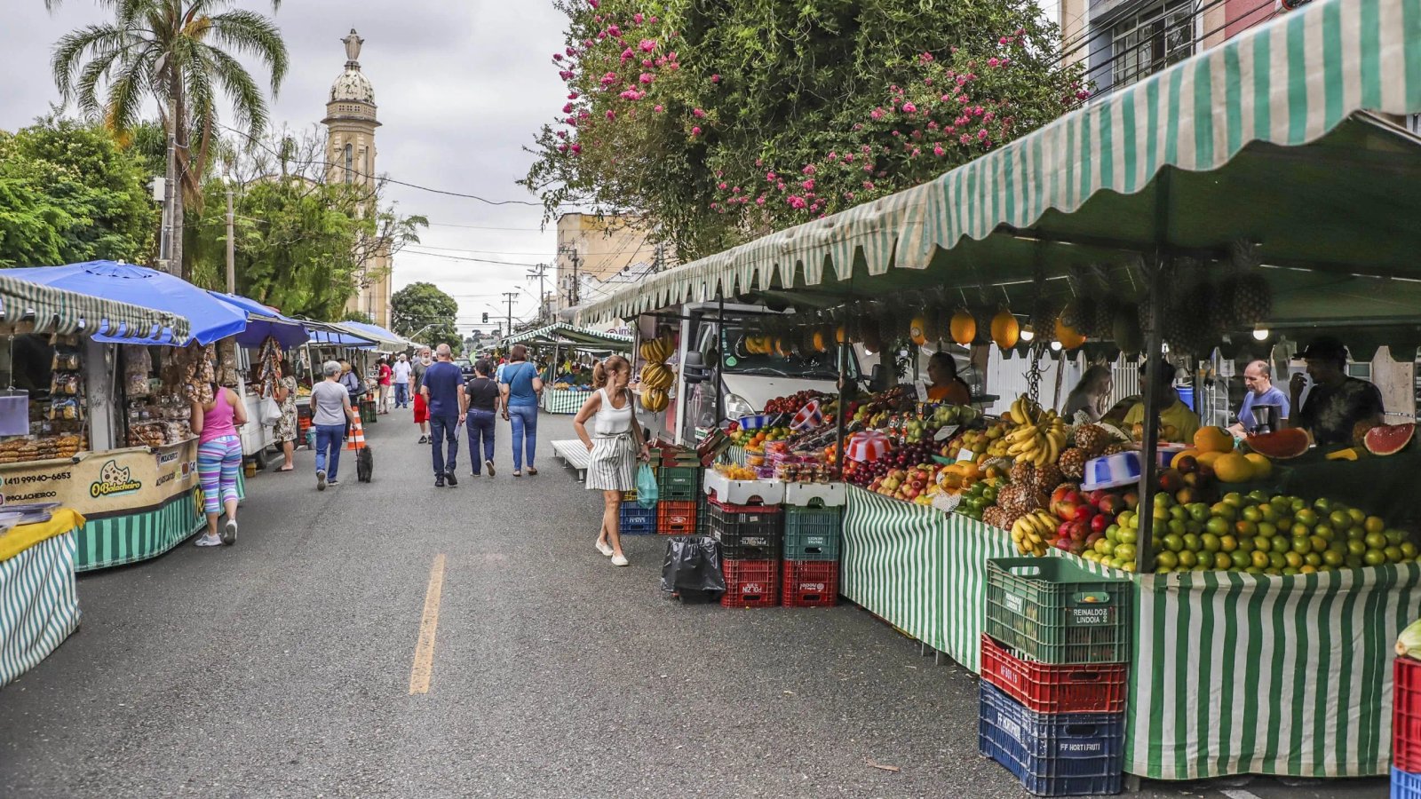 Curitiba oferece feiras livres e de artesanato neste domingo