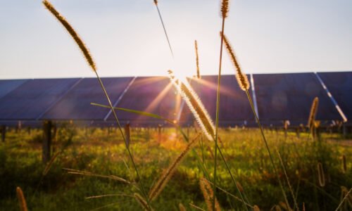 DTE Energy issues 1-GW RFP for solar, wind projects