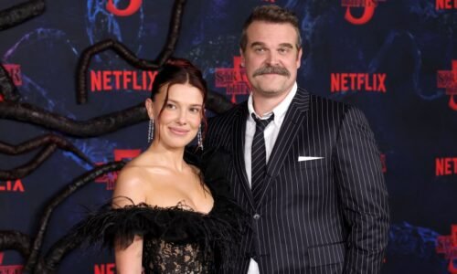 David Harbour Reunites With Stranger Things Cast After Drama