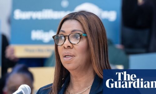 Democrats say they were shut out of fraud event after Vance says crackdown ‘should not be partisan’ | US news