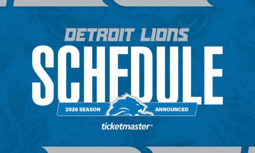 Detroit Lions logo
