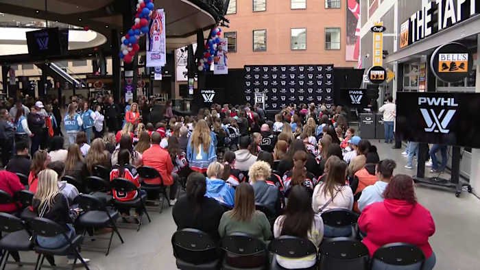 Detroit to get Professional Women’s Hockey League team -- here’s what we know