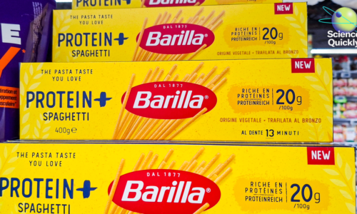 Do you need more protein? What science says about high-protein diets