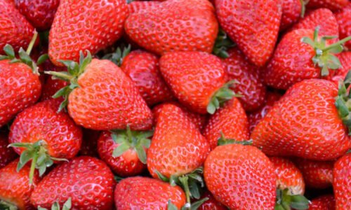 Driscoll's strawberries tested positive for 12 pesticides — but the full picture is more complicated than the headlines suggest