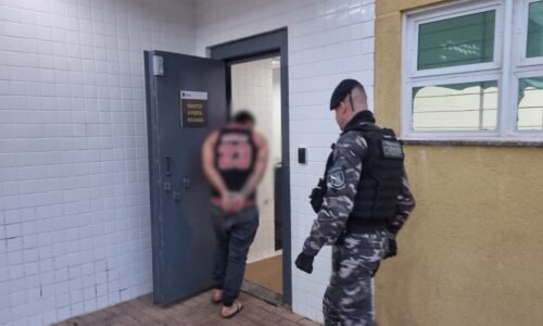 Durante cumprimento de mandado de prisão, Choque localiza homem com maconha e arma francesa