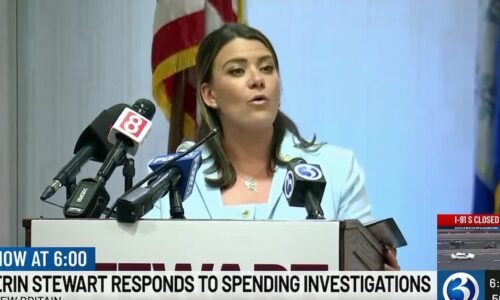 Erin Stewart suspends campaign amid city credit card investigation