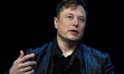Estudo revela que Grokipedia de Elon Musk recorre mais a fontes de direita em temas sensíveis