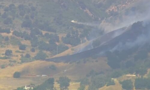 Firefighters respond to brush fire in Calabasas – NBC Los Angeles