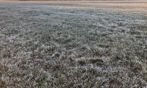 Frosty start to Sunday for Flying Pig Marathon