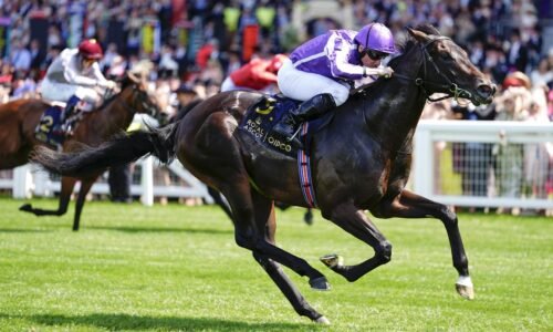 Gstaad Primed On Big Weekend for Ballydoyle