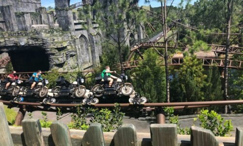 Hagrid's Magical Creatures Motorbike Adventure at Universal Orlando Resort.