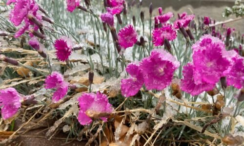 Hail, tornado, rain, snow part of strong Colorado spring storm system