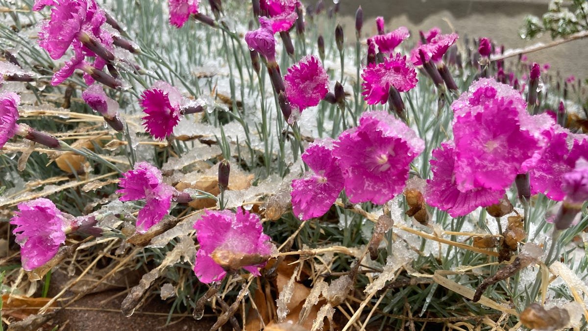 Hail, tornado, rain, snow part of strong Colorado spring storm system