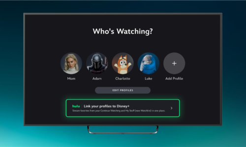Hulu on Disney+ Just Got Better: What You Need to Know About Linking Your Profiles