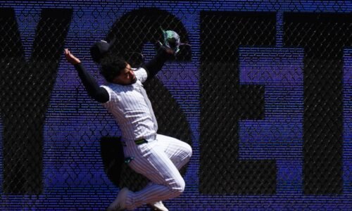 Jasson Domínguez recovering from shoulder injury