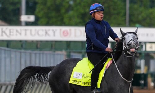 Kentucky Derby 2026 horse Great White trainer, jockey, owner, record