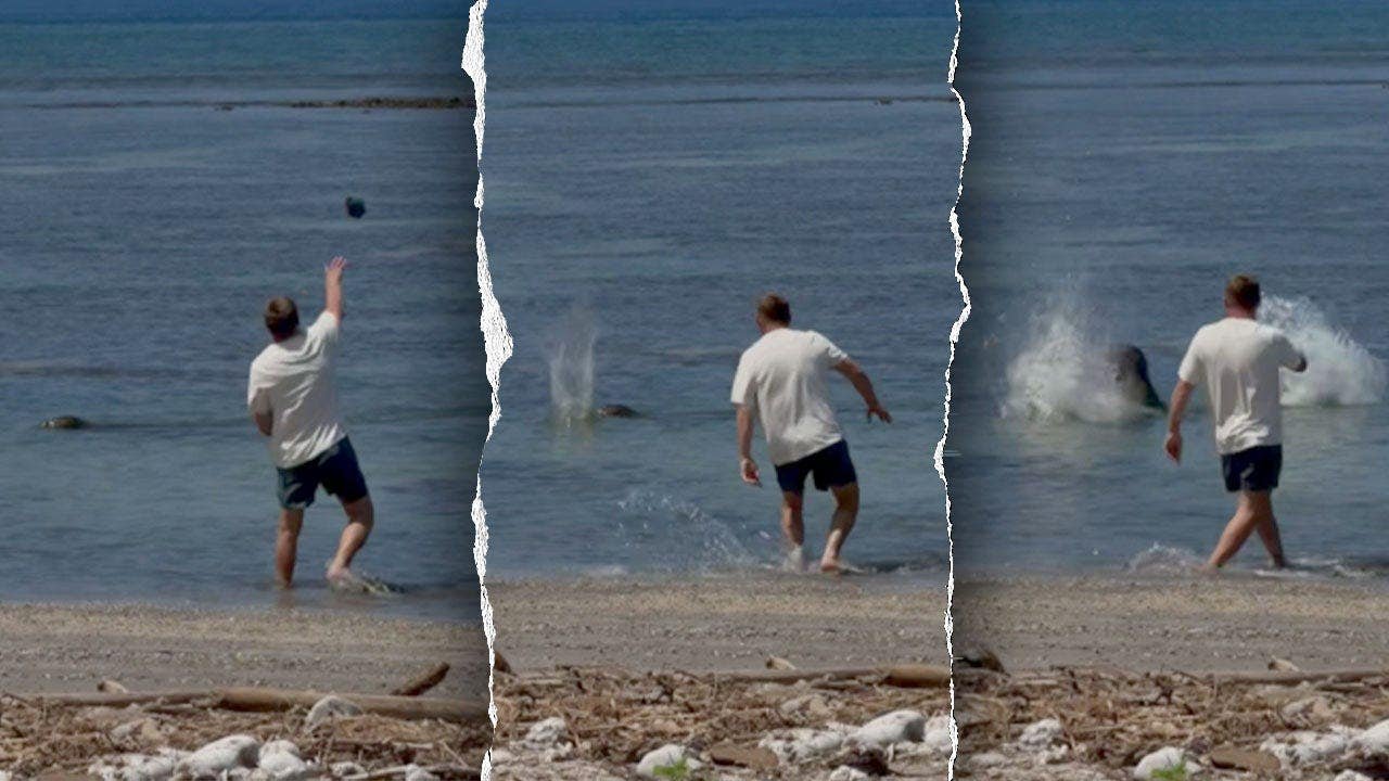 Lawyer for man accused of hitting monk seal says he wanted to help turtles