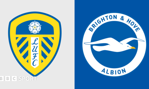 Leeds United vs Brighton & Hove Albion: Premier League preview, team news, stats & head-to-head