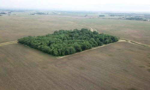 Madison County solar project on Gates-owned land back to siting board