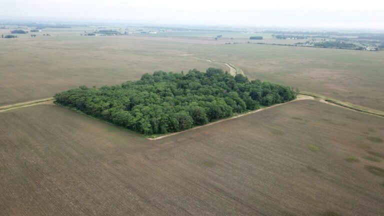 Madison County solar project on Gates-owned land back to siting board