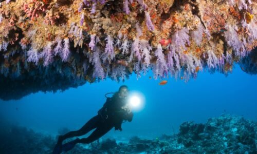 A scuba diver explores a sea cave in the Maldives.