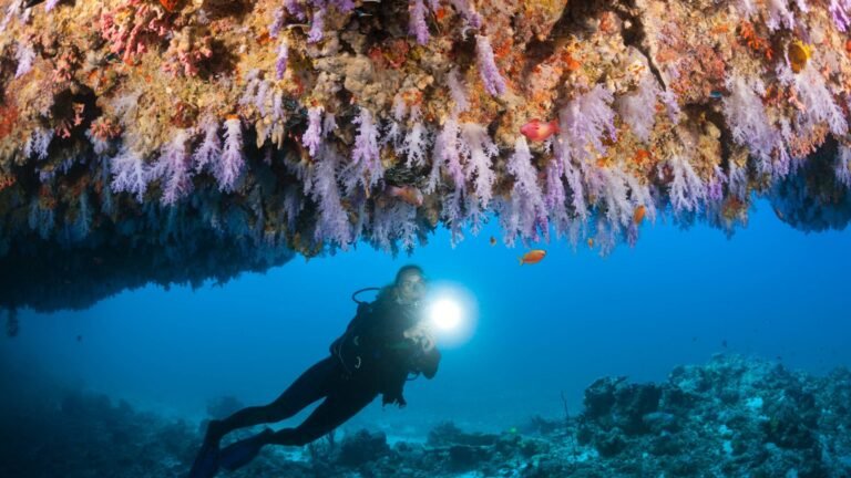 A scuba diver explores a sea cave in the Maldives.