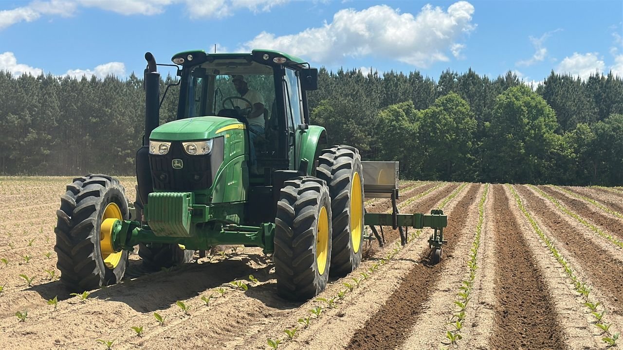 N.C. tobacco farmers focus on president's visit to China