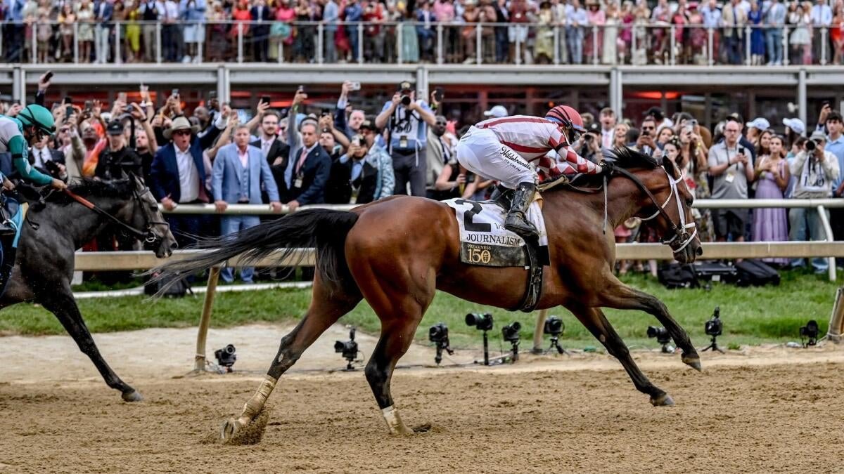 Napoleon Solo profile: 2026 Preakness Stakes odds, post position, history and more to know