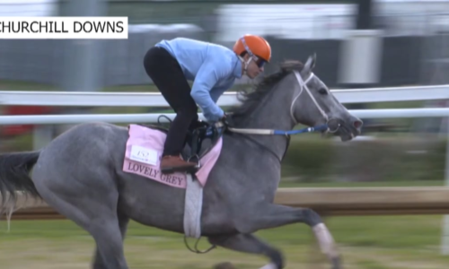 Oaks hopeful’s breeder talks ahead of the prestigious race