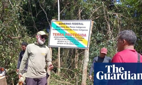 Official marking of land for Brazil’s uncontacted Kawahiva people begins after 27-year wait | Brazil