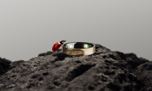 Oura is launching its smallest smart ring yet