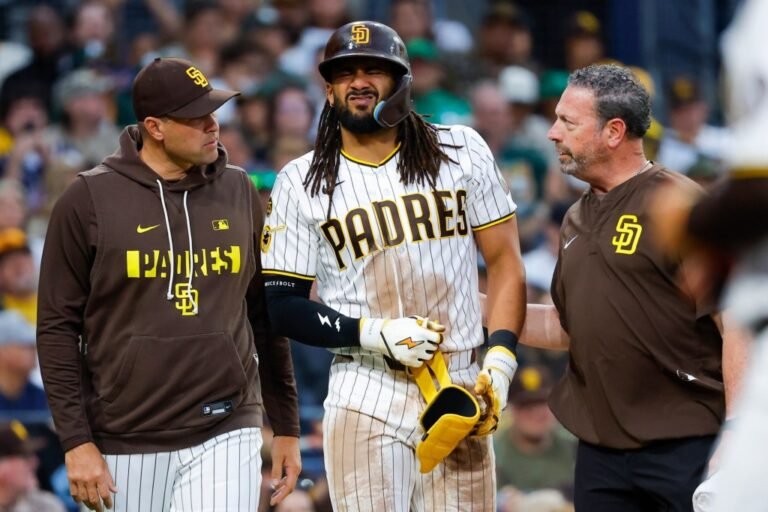 Padres' Fernando Tatis Jr. plans to appeal after San Diego judge rules against him