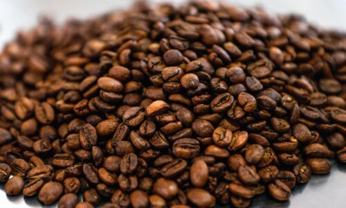 Paraná aposta em cafés especiais para recuperar força histórica