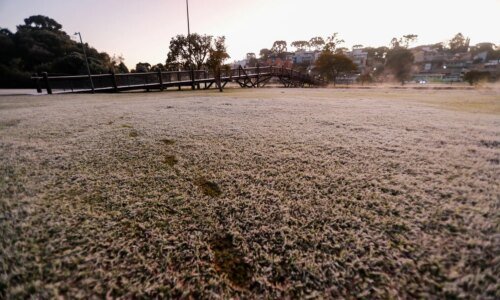 Paraná tem alerta de geada nesta quinta-feira; veja lista das cidades