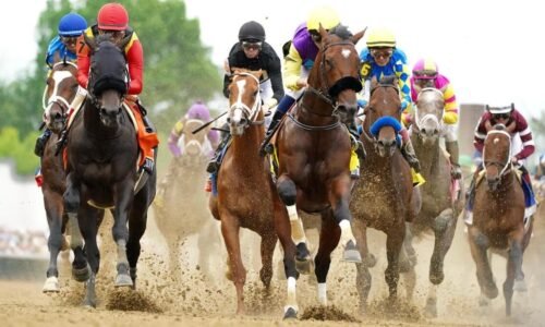 Preakness Stakes 2026 predictions, odds, horses, field: Win, place, show, exacta, trifecta, superfecta picks