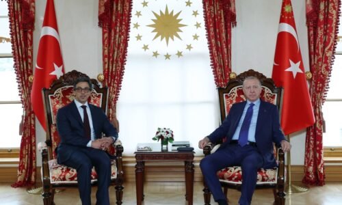 President Erdoğan meets UAE VP Sheikh Mansour in Istanbul