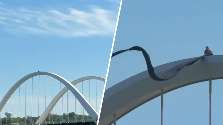 Protester scales Frederick Douglass Bridge, sparking shutdown – NBC4 Washington