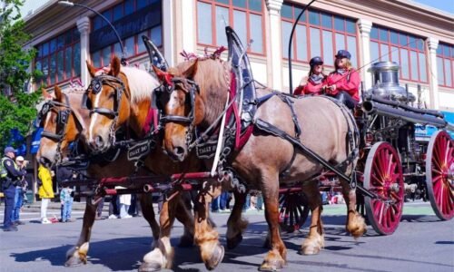 QUIZ: Are you ready for Victoria Day?