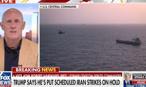 Retired vice admiral on Iran standoff: Trump has 'time on his hands'