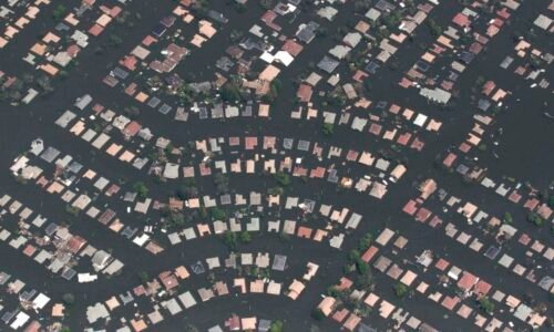 Rising seas will swallow New Orleans. People need to start relocating now, scientists say