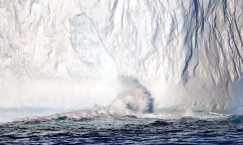 Scientists say sea levels could rise far higher than expected because of one crucial ocean factor